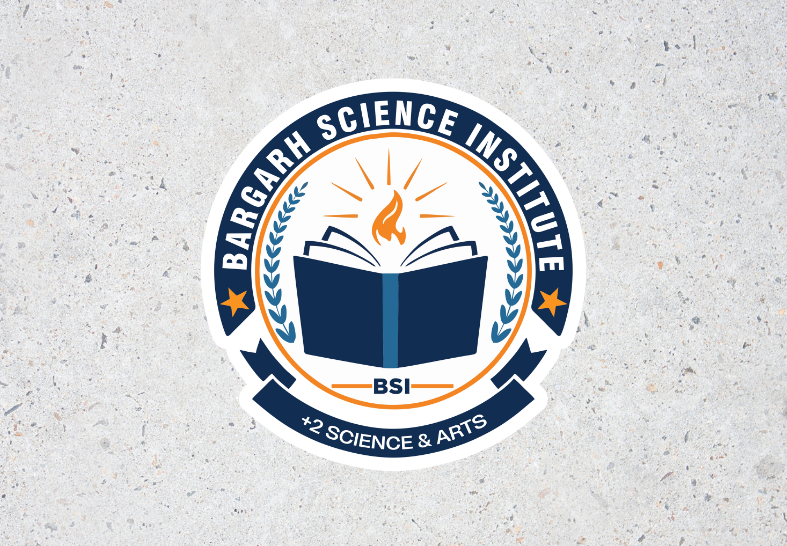 BSI LOGO
